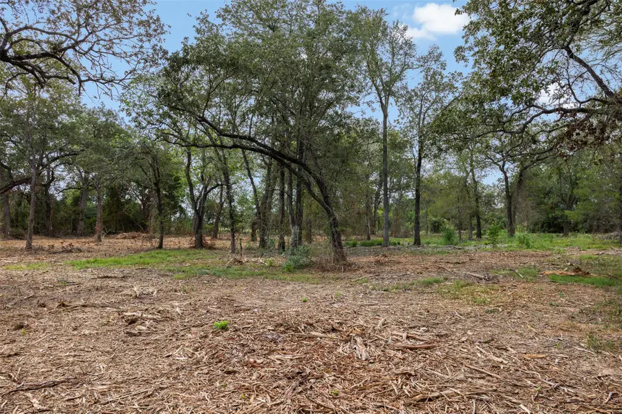 Lot 1 Cr 491, Elgin, TX 78621 - #3
