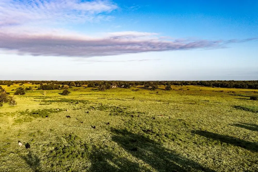 3087 County Road 320, Lexington, TX 78947 - #1