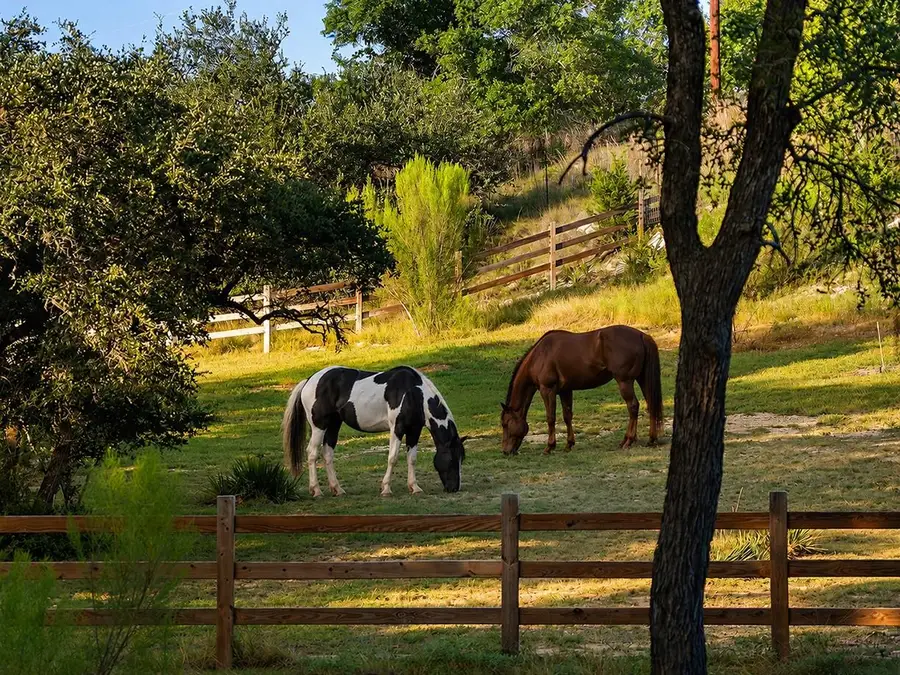 447 Miss Donna Ln, Dripping Springs, TX 78620 - #2