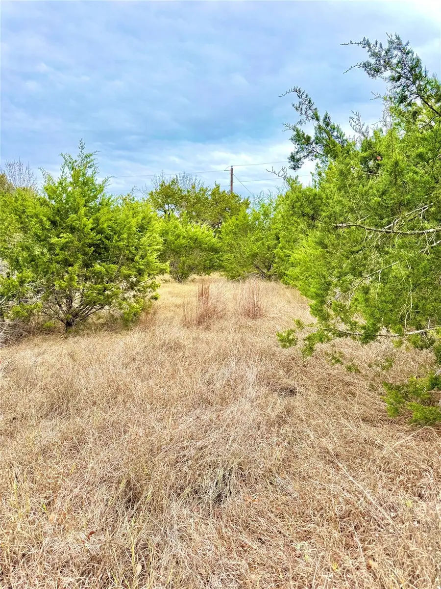 422 Eagle Ln, Fischer, TX 78623 - #3