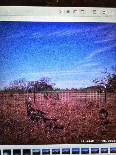 TBD 000 County Road 2699, Goldthwaite, TX 76853 - #3