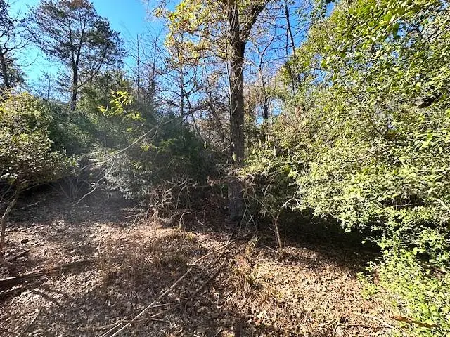 506 Tahitian Dr, Bastrop, TX 78602 - #2