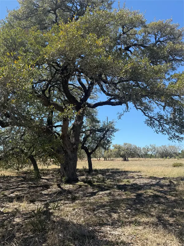000 Barton Bend Lot 7 & Lot 6 Bnd, Dripping Springs, TX 78620