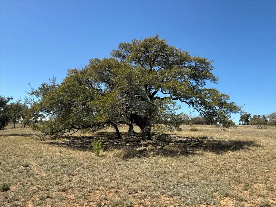 000 Barton Bend Lot 7 & Lot 6 Bnd, Dripping Springs, TX 78620 - #3