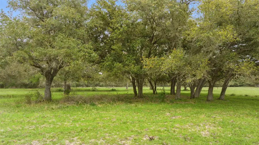 Lot 2 County Road 123, Edna, TX 77957 - #3