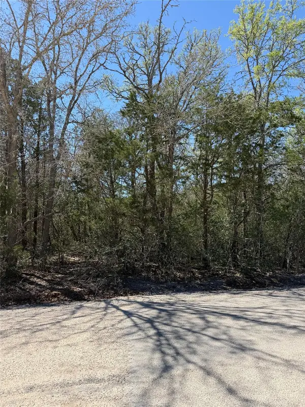 191 Kaaawa Ln, Bastrop, TX 78602