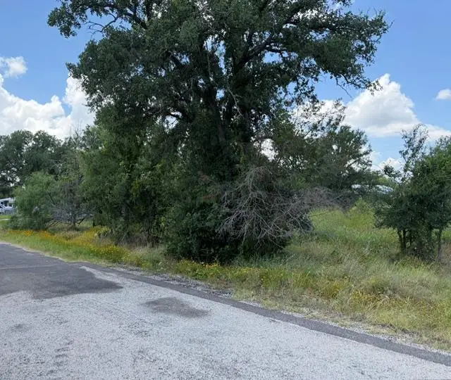 3523 Cactus Trl, Kingsland, TX 78639 - #3