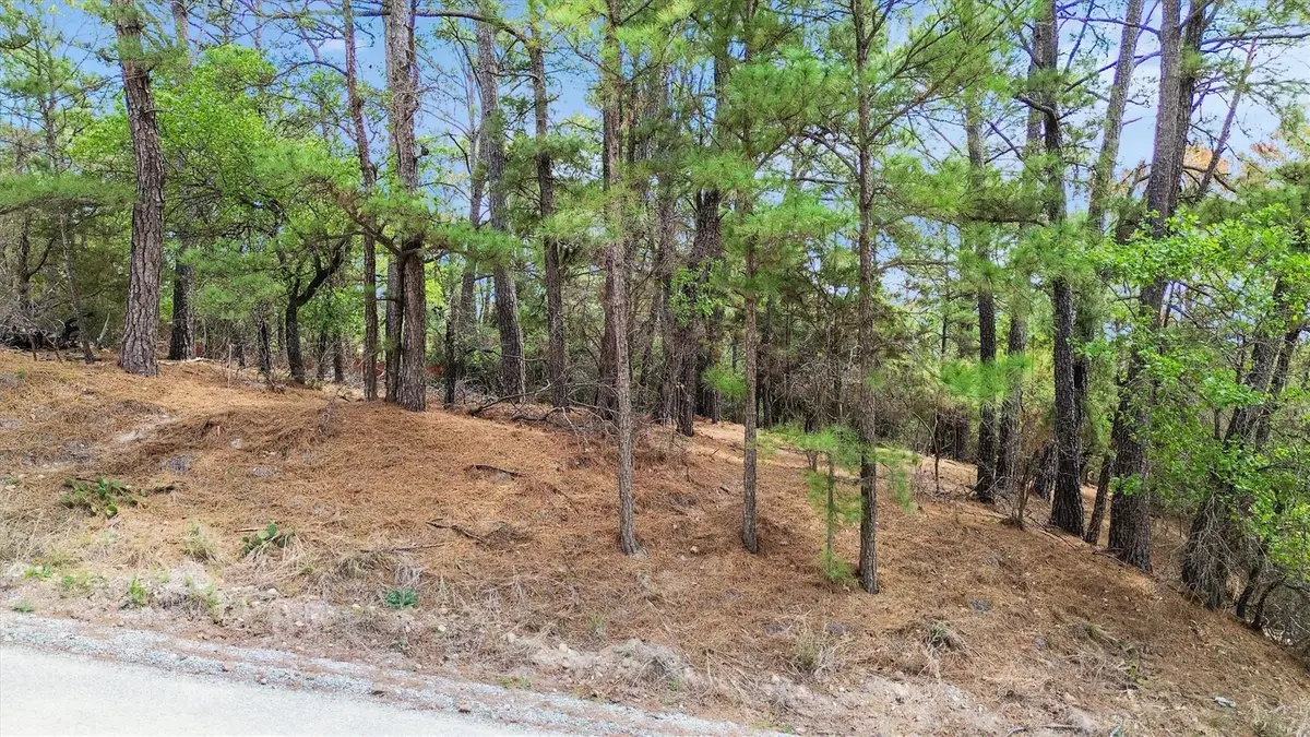 141 Kamaiki Dr, Bastrop, TX 78602 - #1