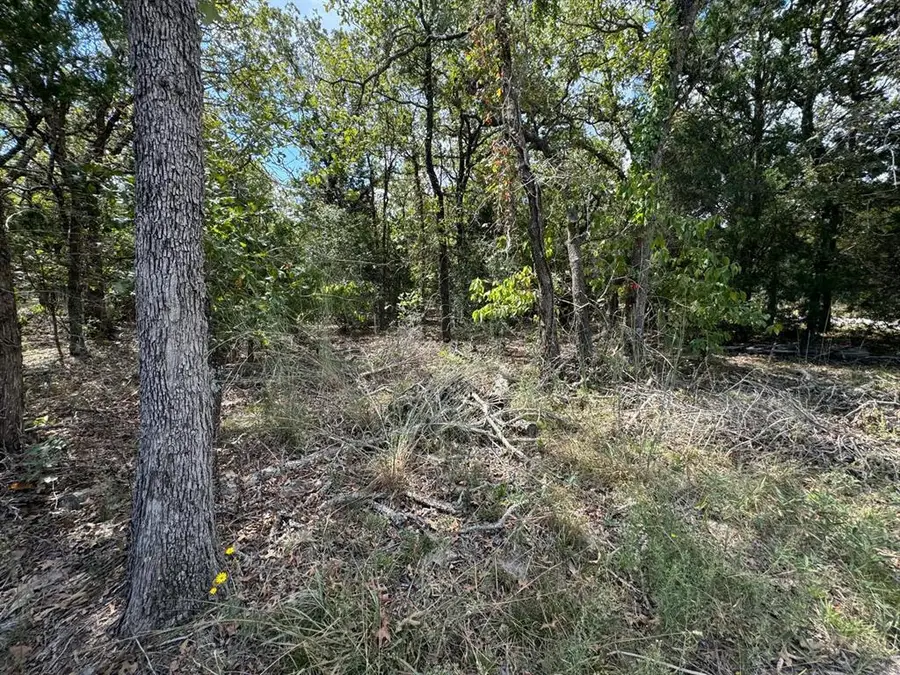 [Lot 1] 000 Jordan Ln, Elgin, TX 78621 - #2