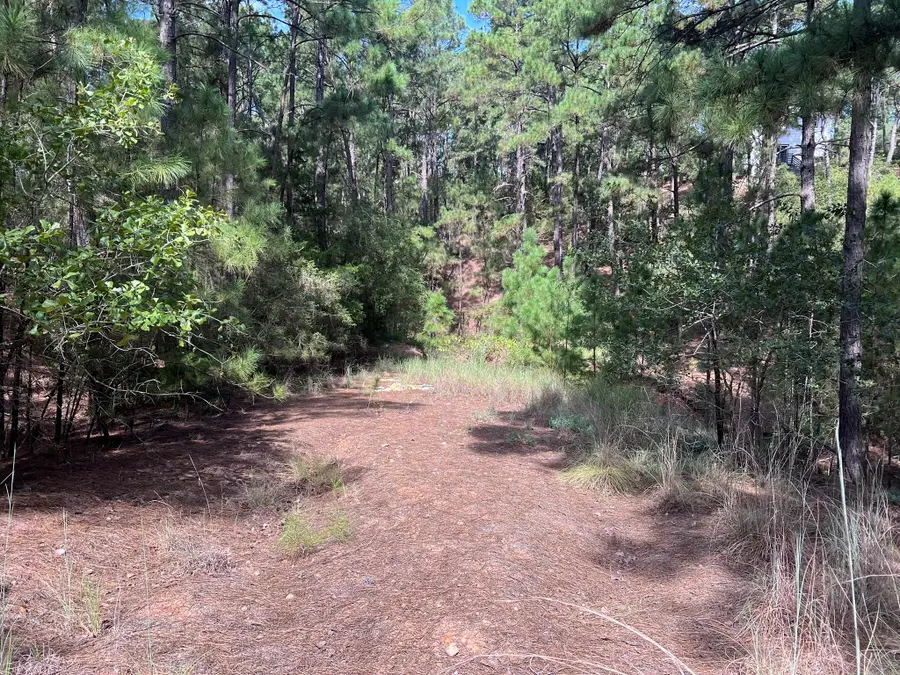 TBD Okoe Ct W, Bastrop, TX 78602 - #2