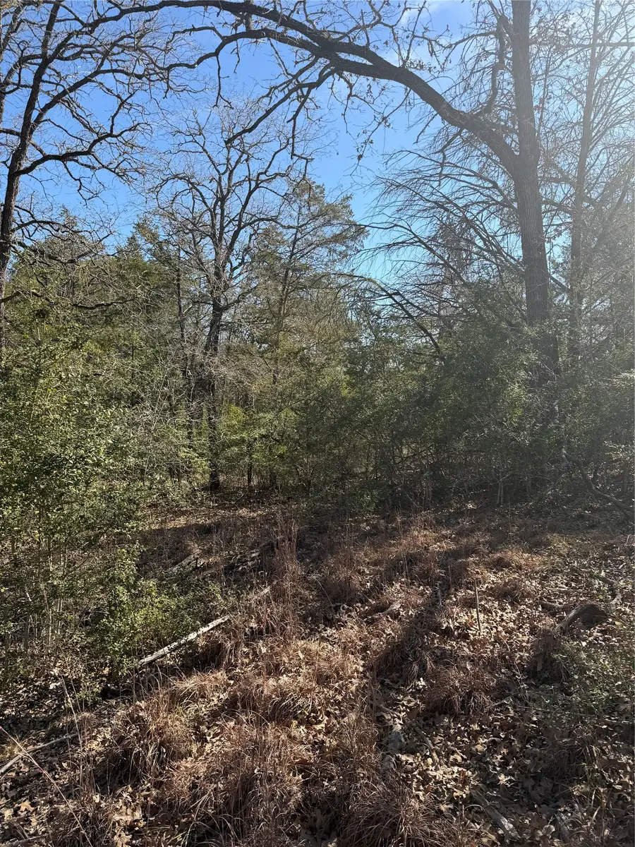 Lot 110 Wailupe Cir, Bastrop, TX 78602 - #2