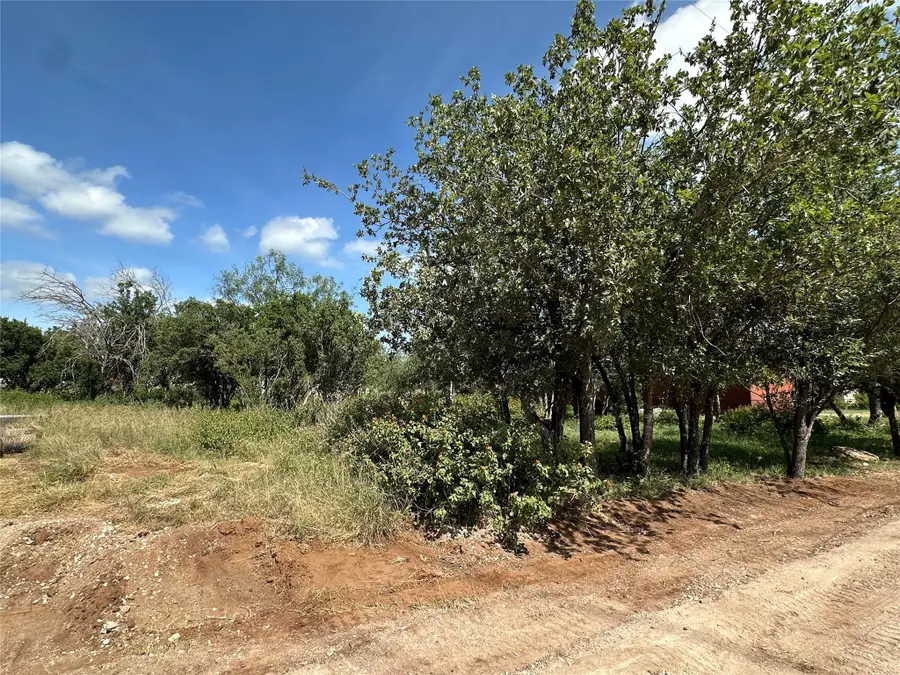 Lot 129 Eastwood Dr, Cottonwood Shores, TX 78657 - Image #3