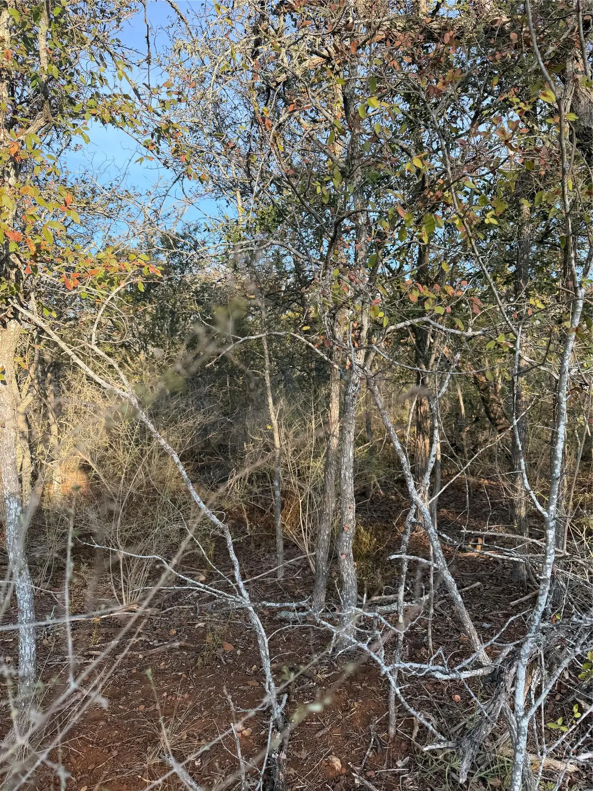 156 Helemano Dr, Bastrop, TX 78602 - #1