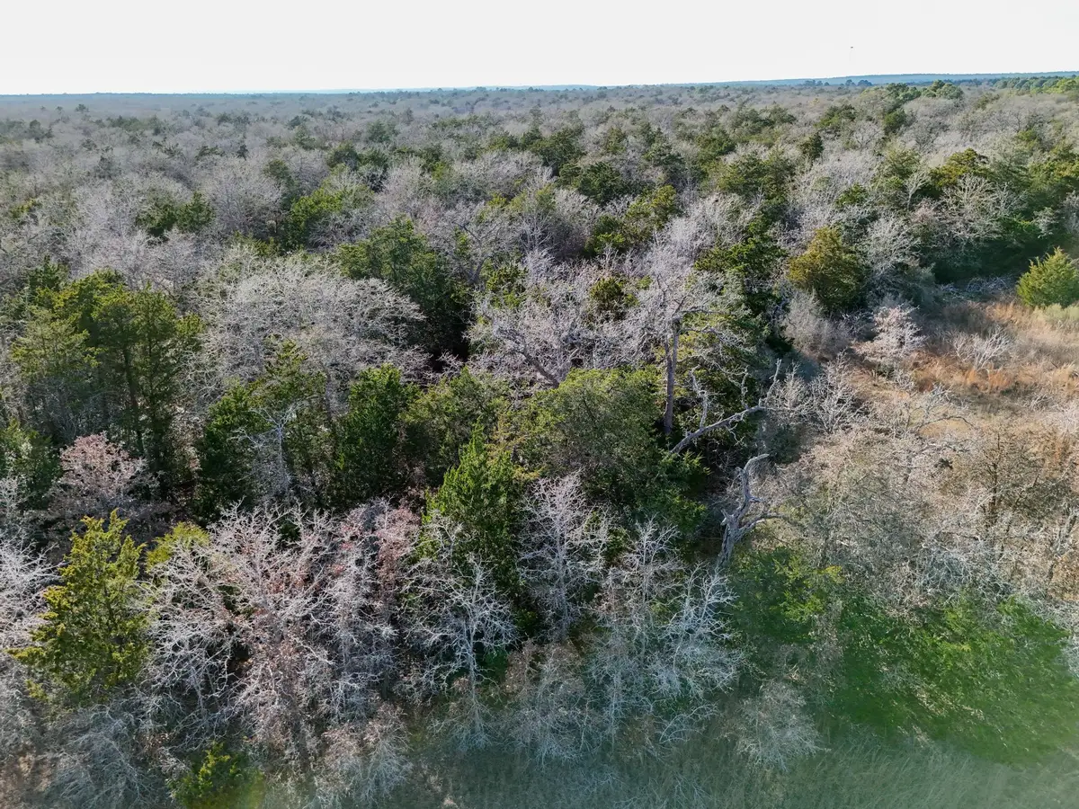 Lot 15 Antioch Rd, Paige, TX 78659 - #1