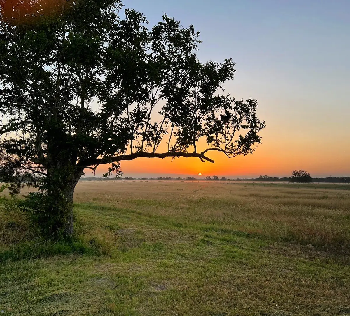 7188 Goehring Rd, Ledbetter, TX 78946 - #1