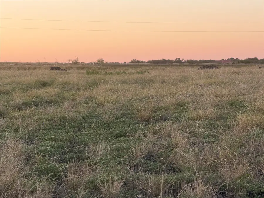 221 Tigerlily Way, Thrall, TX 76578 - #2