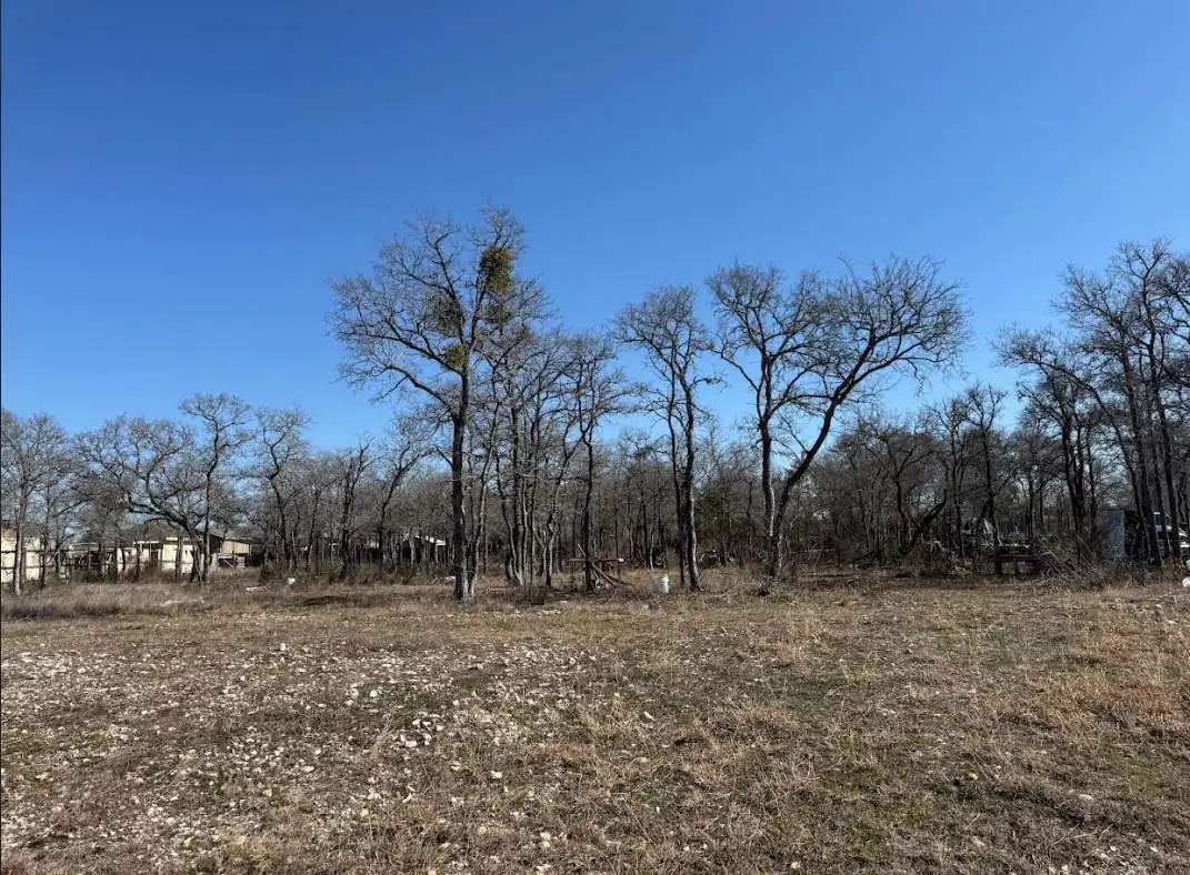 121 Pink Dahlia Dr, Dale, TX 78616 - Image #1