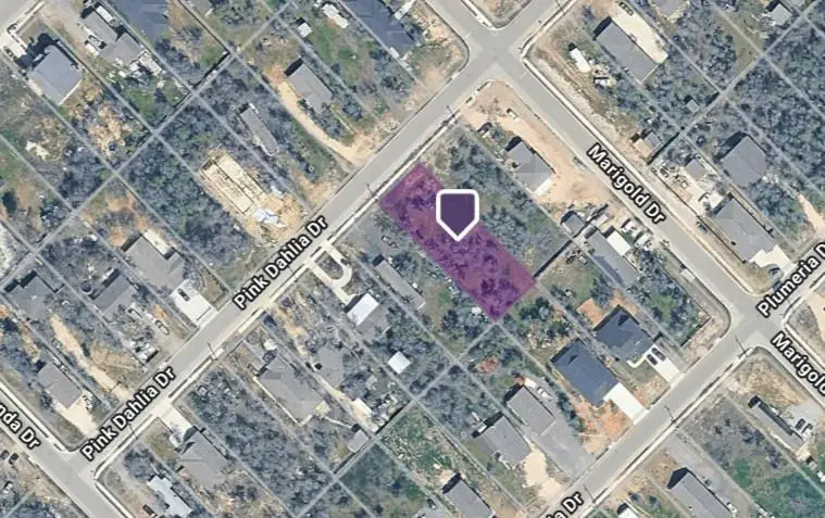 121 Pink Dahlia Dr, Dale, TX 78616 - Image #3