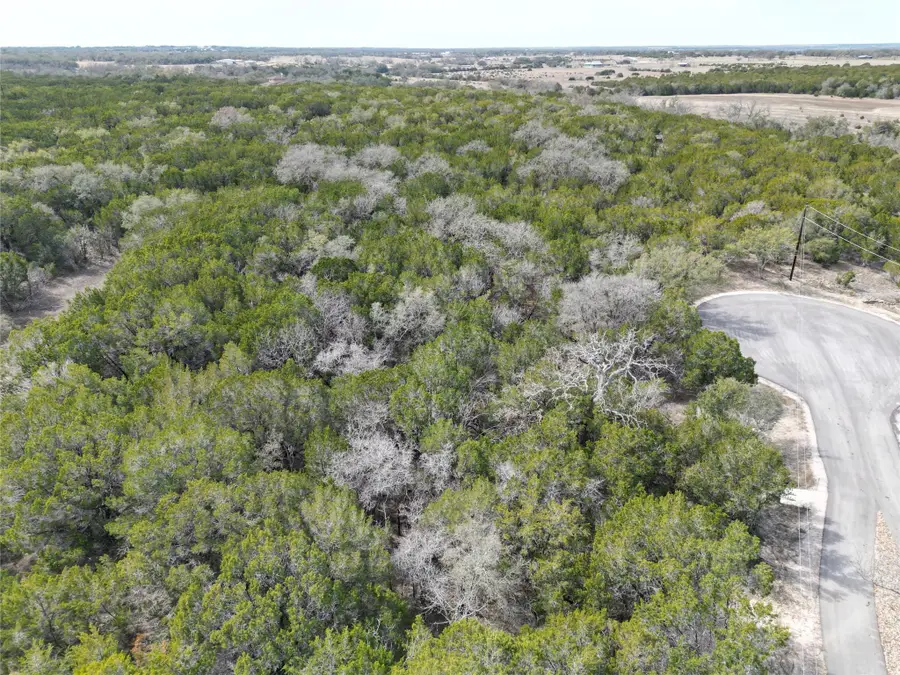 Lot 15 Edwards Court, Bertram, TX 78605 - #2