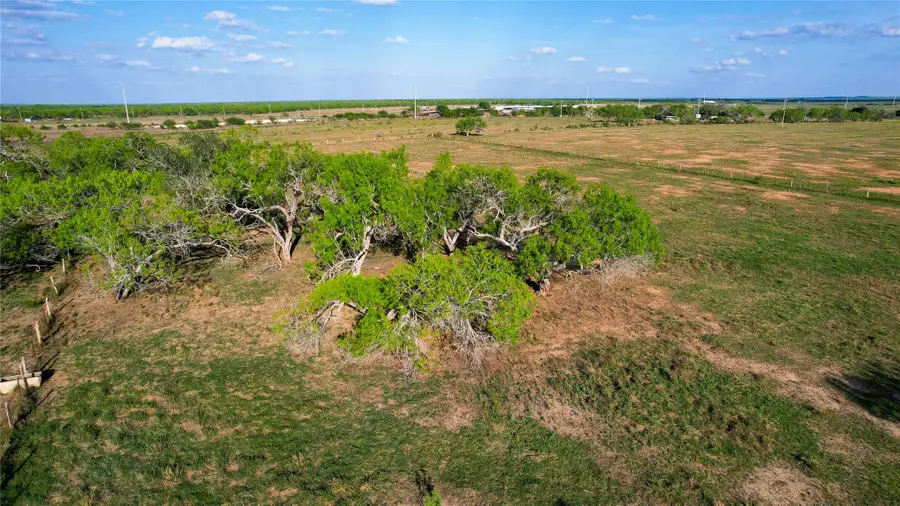 Tract 3 +/- 29 AC E State Highway 87, Nixon, TX 78140 - #3