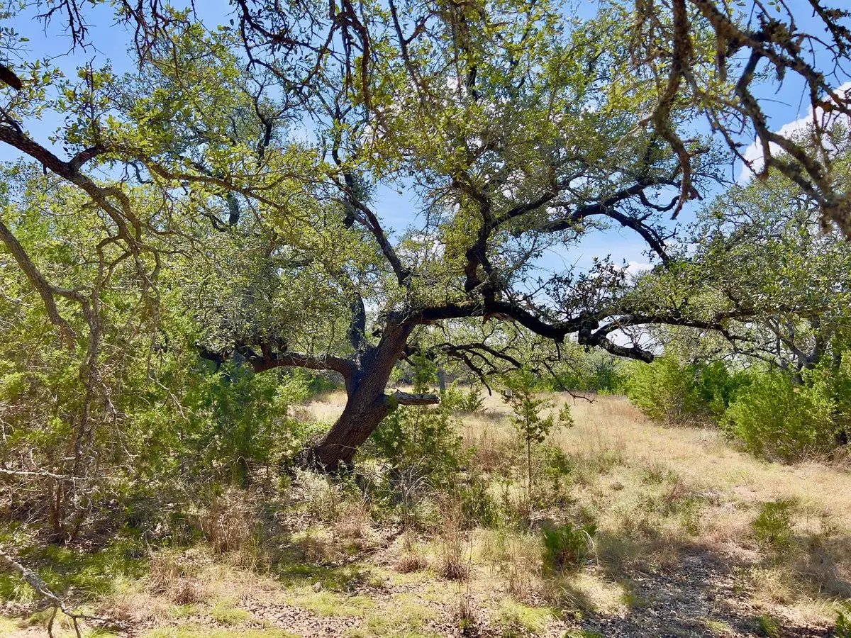 992 Hines Branch Rd, Blanco, TX 78606 - #1