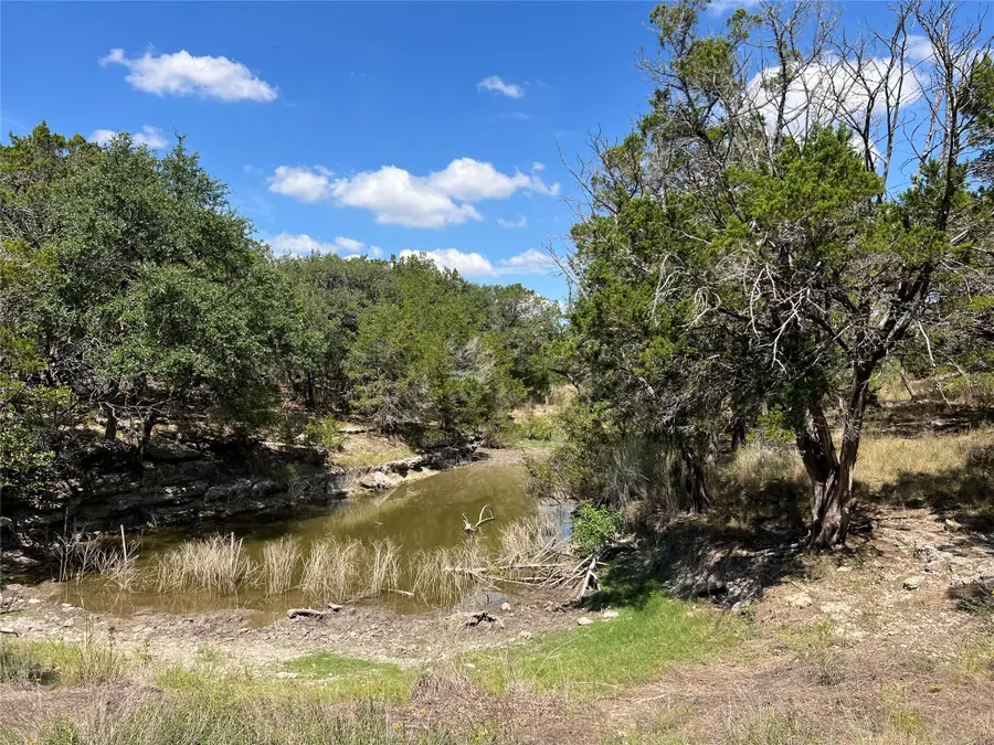 992 Hines Branch Rd, Blanco, TX 78606 - #3