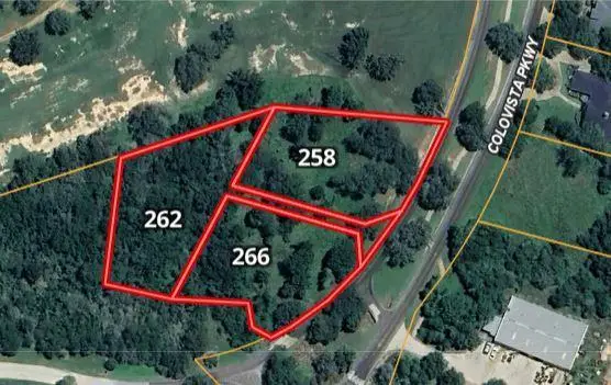 262 Colovista Pkwy, Bastrop, TX 78602 - #3