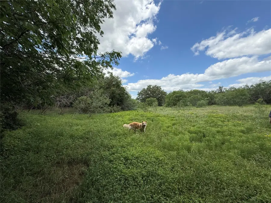 TBD 000 Pettytown Rd, Red Rock, TX 78662 - #2