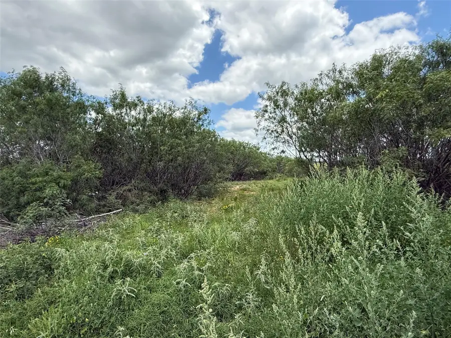TBD 000 Pettytown Rd, Red Rock, TX 78662 - #3