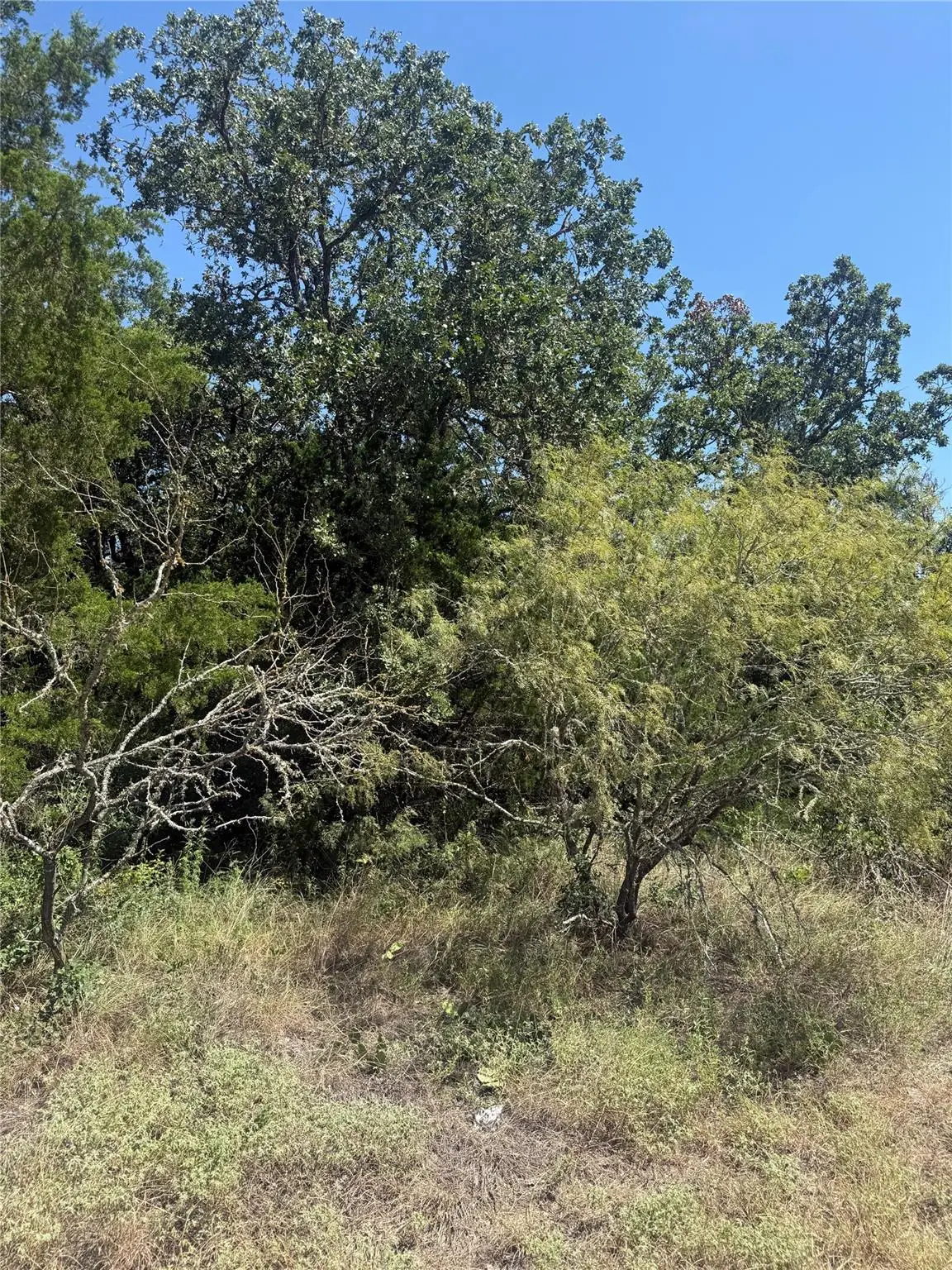 TBD Blanket Flower Dr Lot 18 Dr, Bastrop, TX 78602 - #1