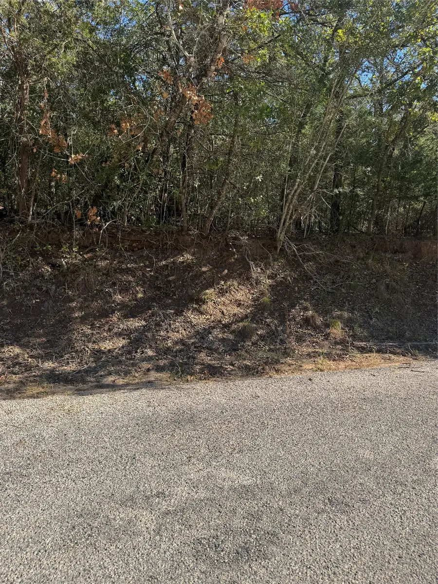 Lot 195 Kaelepulu Dr, Bastrop, TX 78602 - Image #2