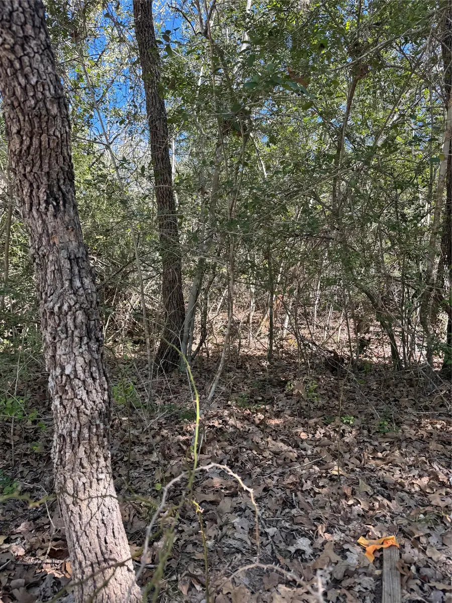 Lot 195 Kaelepulu Dr, Bastrop, TX 78602 - Image #3