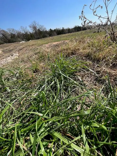 109 Sonoma Dr, Elgin, TX 78621 - #3