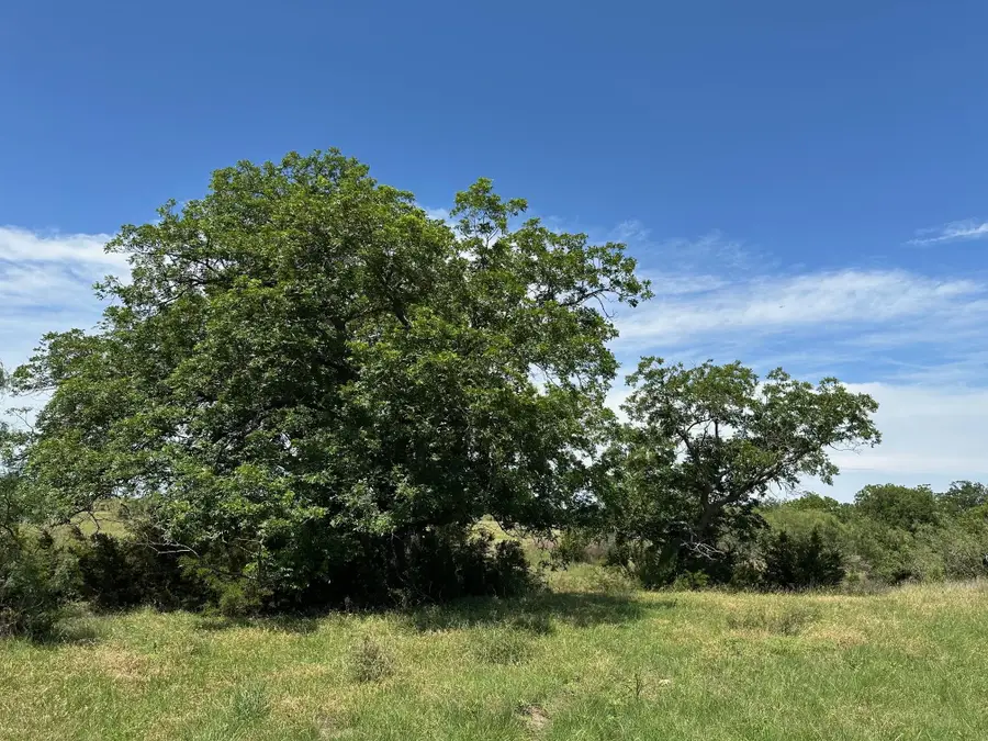 23 acres County Road 330, Bertram, TX 78605 - #3
