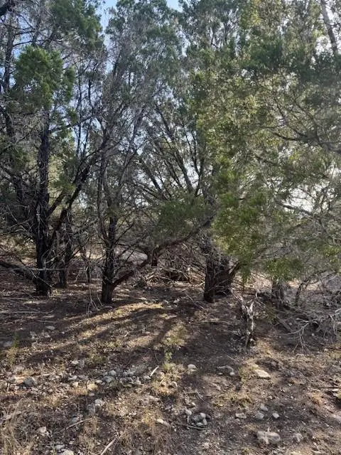 20003 Continental Cv, Leander, TX 78645 - #1