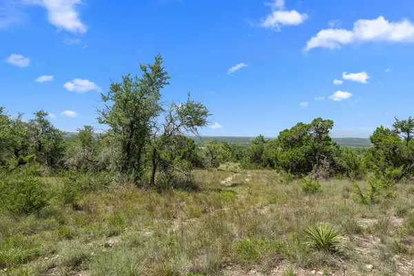 31842 Mirela Ann Rd, Dripping Springs, TX 78620