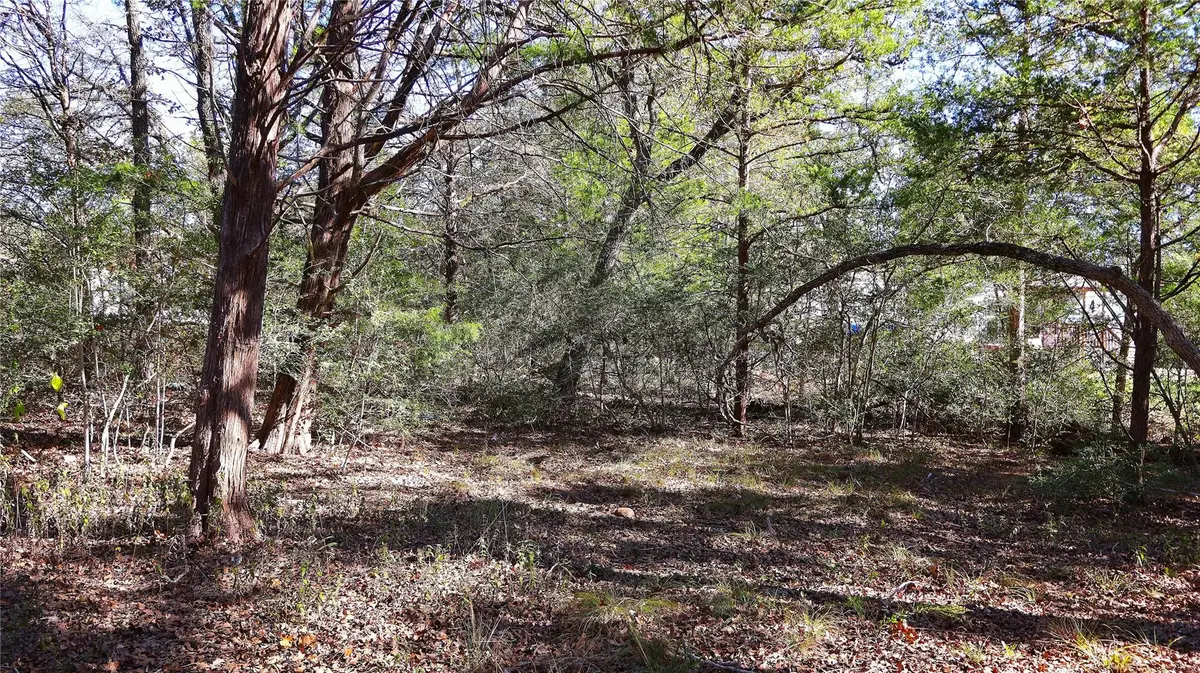 TBD Choctaw Trl, Smithville, TX 78957 - Image #1