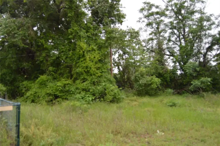 440 Fcr 301 Rd, Butler, TX 75855 - Image #3