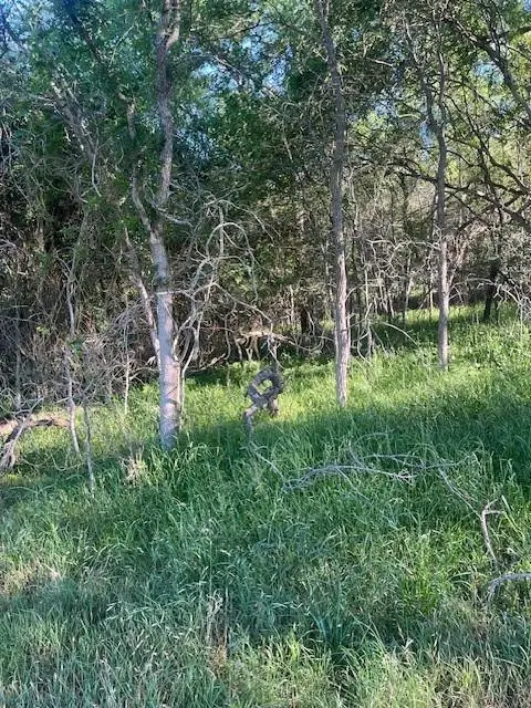 Lot 768 Kaukonahua Ln, Bastrop, TX 78602 - #2