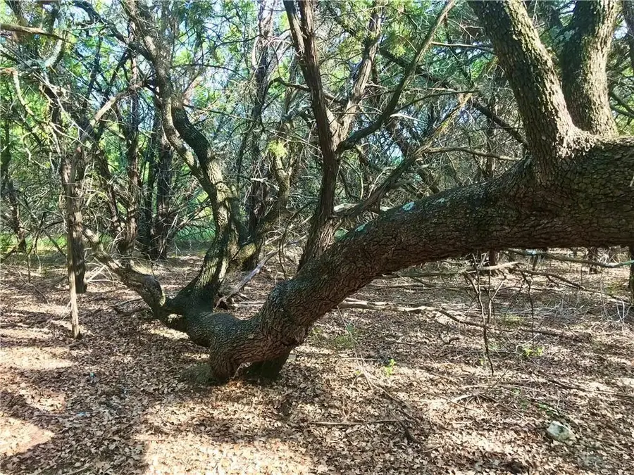 8126 Chantilly Trl, Leander, TX 78645 - Image #3