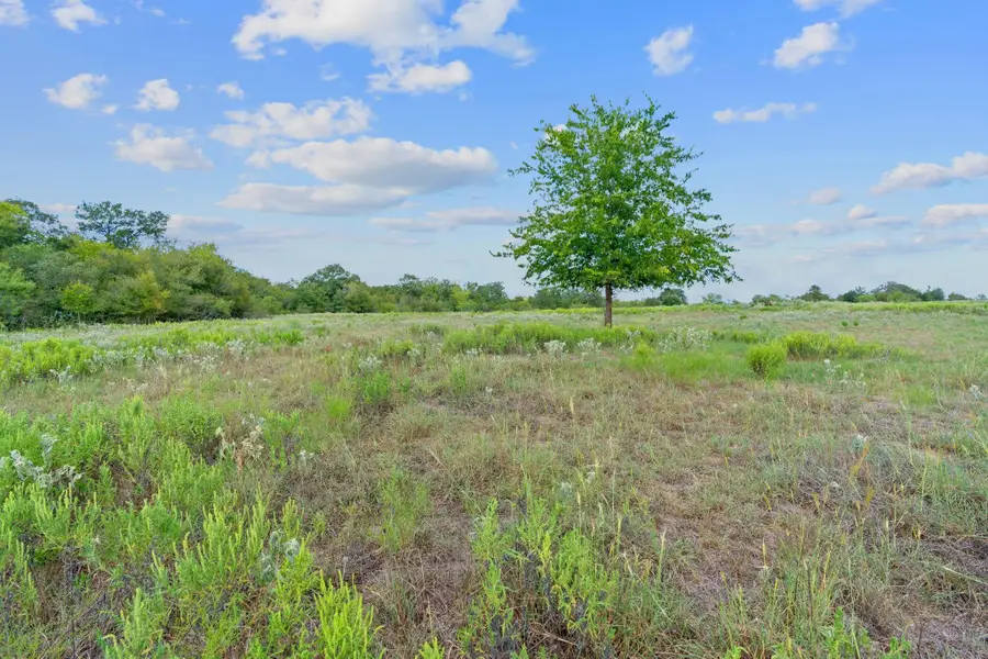 Lot 3 Private Road 4511 Rd, Waelder, TX 78959 - Image #3