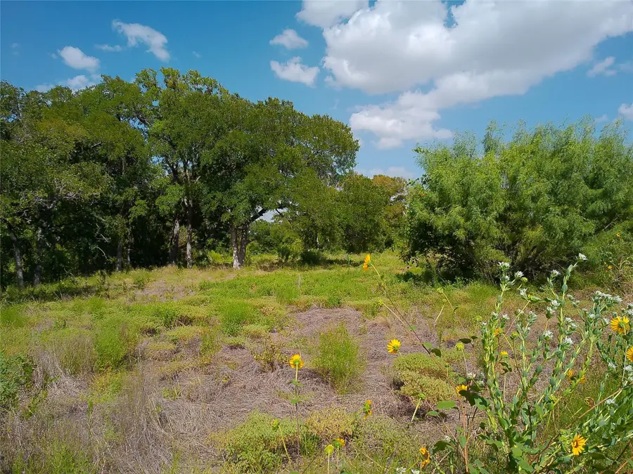 Lot 29 Serenity Dr, Bertram, TX 78605 - #2