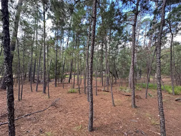 TBD Otto Lane & Red Fox Rd, La Grange, TX 78945