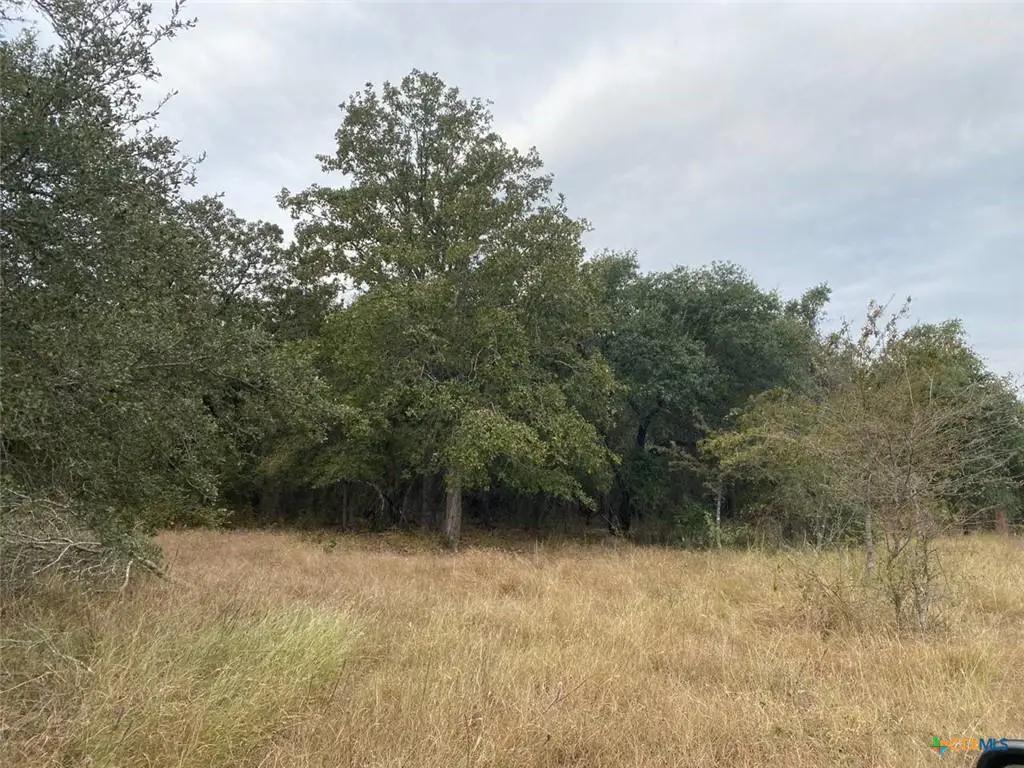 TBD County Road 405, Buckholts, TX 76518 - #1