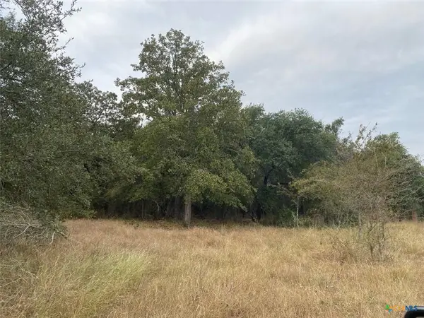 TBD County Road 405, Buckholts, TX 76518