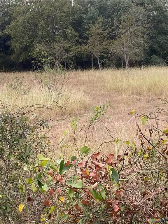 TBD County Road 405, Buckholts, TX 76518 - #3