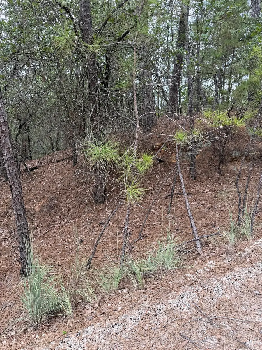Lot 214 Hekili Dr, Bastrop, TX 78602 - #2