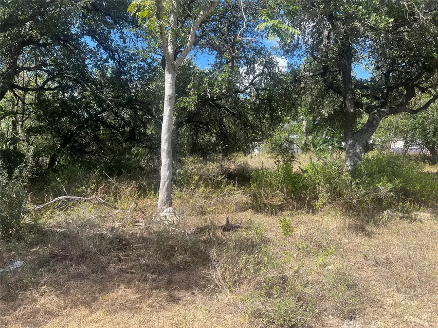 542 Flintstone Dr, Canyon Lake, TX 78133 - #2