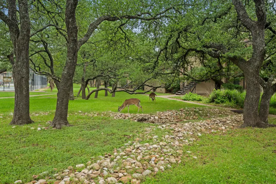 4159 Steck Ave #267, Austin, TX 78759 - #3