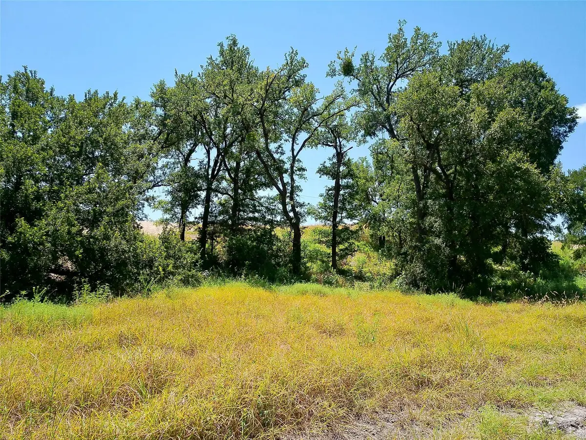 212 Serenity Dr, Liberty Hill, TX 78642 - #1